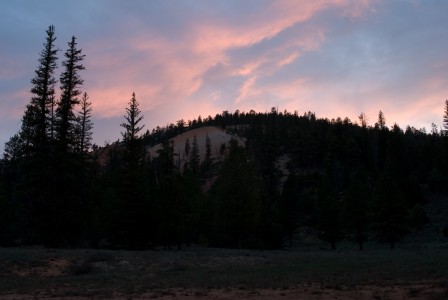 Dixie National Forest