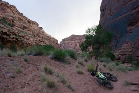 Hunter Canyon Trail