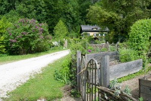 Forstamt Steinbach am Attersee